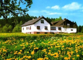 Гостиница Gasthaus-Pension Zum Brandweiher  Аморбах